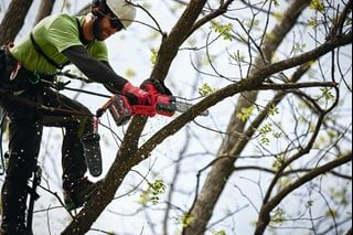 Milwaukee M18 FHS20 - Serra de poda M18 FUEL HATCHET com barra de 20 cm